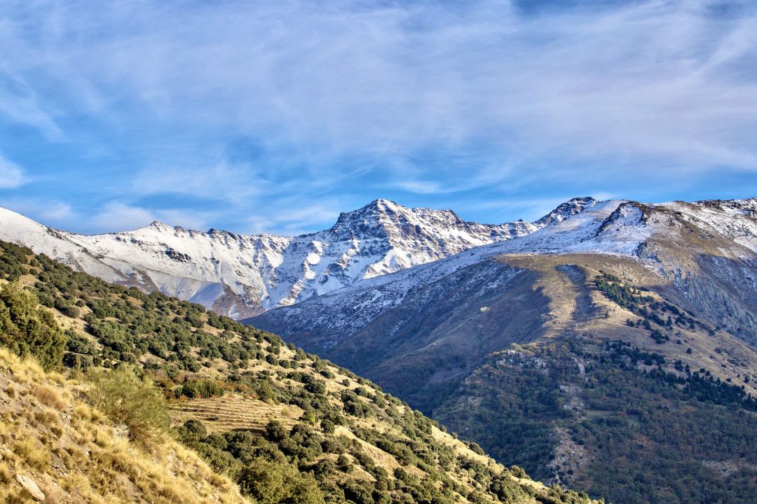 Casa del Pino — Yoga y Silencio en Sierra Nevada